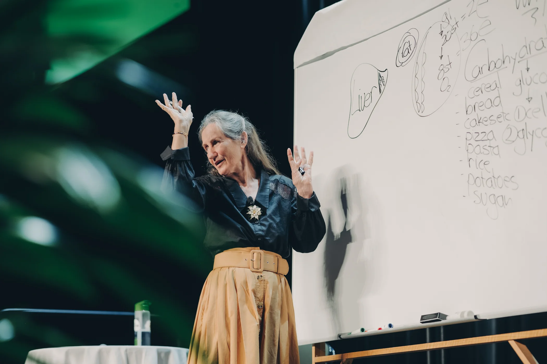 Timeless Elegance by Barbara O'Neill